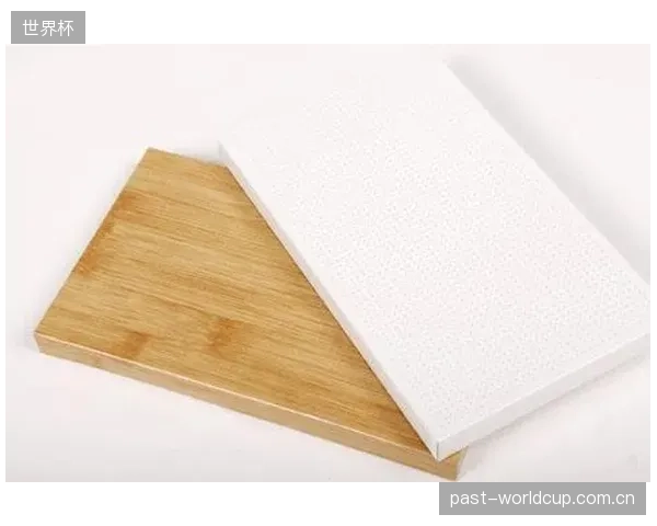 为什么高NRC值的穿孔铝板用了还会吵？“唯材料论”的误区正在导致大量体育馆因忽视系统集成而产生严重的“声桥效应